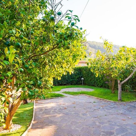 Appartamento La Via Del Mare Rio dellʼElba Dış mekan fotoğraf